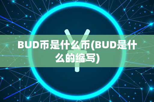 BUD币是什么币(BUD是什么的缩写)第1张-瑞泰网