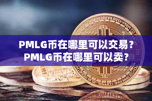 PMLG币在哪里可以交易？PMLG币在哪里可以卖？第1张-瑞泰网