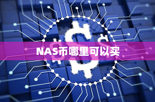 NAS币哪里可以买第1张-瑞泰网