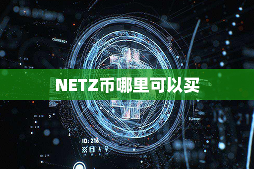 NETZ币哪里可以买第1张-瑞泰网