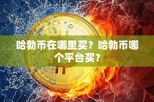 哈勃币在哪里买？哈勃币哪个平台买？第1张-瑞泰网