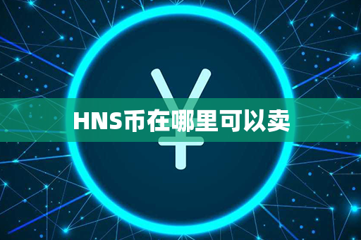 HNS币在哪里可以卖第1张-瑞泰网