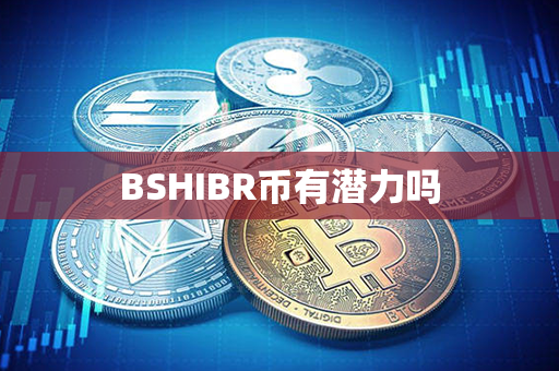 BSHIBR币有潜力吗第1张-瑞泰网