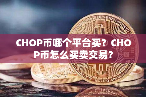 CHOP币哪个平台买？CHOP币怎么买卖交易？第1张-瑞泰网