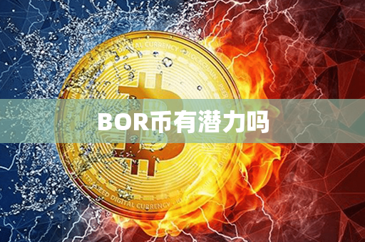 BOR币有潜力吗第1张-瑞泰网