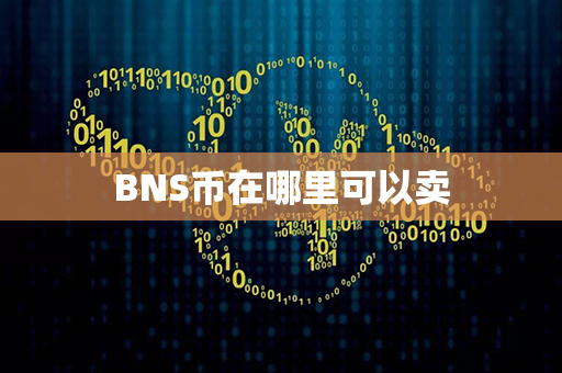 BNS币在哪里可以卖第1张-瑞泰网