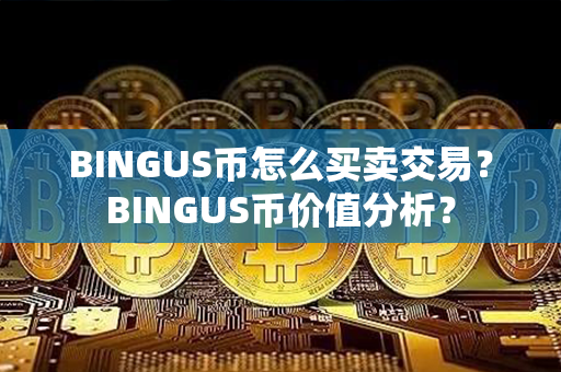 BINGUS币怎么买卖交易？BINGUS币价值分析？第1张-瑞泰网