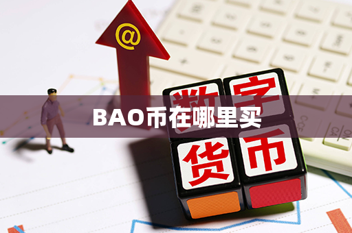 BAO币在哪里买第1张-瑞泰网