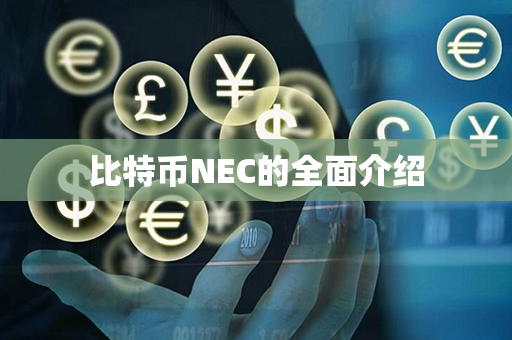 比特币NEC的全面介绍第1张-瑞泰网