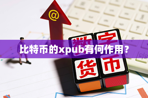 比特币的xpub有何作用？第1张-瑞泰网