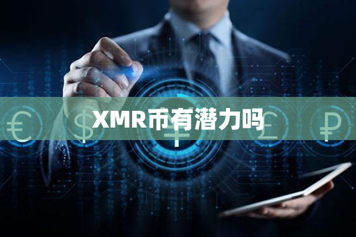 XMR币有潜力吗第1张-瑞泰网