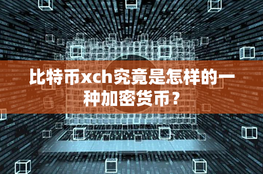 比特币xch究竟是怎样的一种加密货币？第1张-瑞泰网