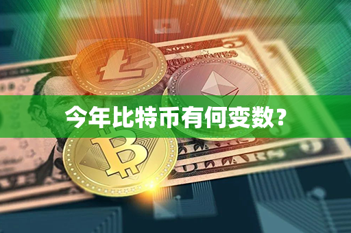 今年比特币有何变数？第1张-瑞泰网