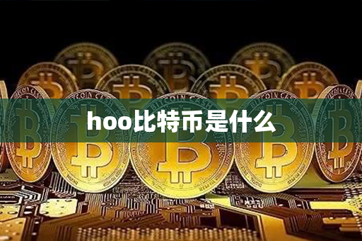 hoo比特币是什么第1张-瑞泰网