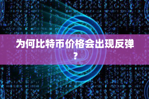 为何比特币价格会出现反弹？