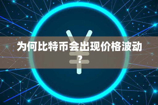 为何比特币会出现价格波动？第1张-瑞泰网