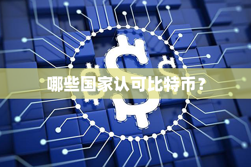 哪些国家认可比特币？第1张-瑞泰网