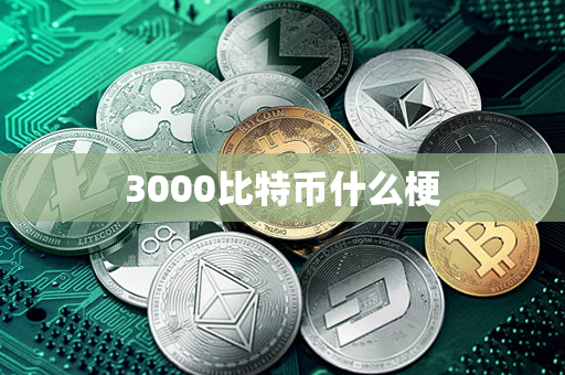 3000比特币什么梗