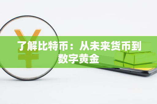 了解比特币：从未来货币到数字黄金