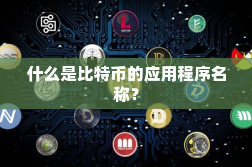 什么是比特币的应用程序名称？第1张-瑞泰网