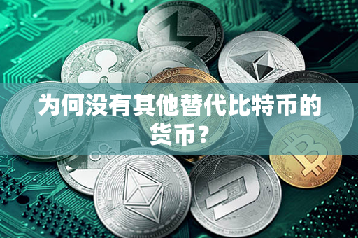 为何没有其他替代比特币的货币？第1张-瑞泰网