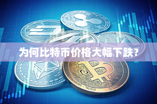 为何比特币价格大幅下跌？第1张-瑞泰网