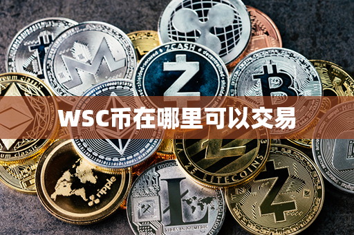 WSC币在哪里可以交易